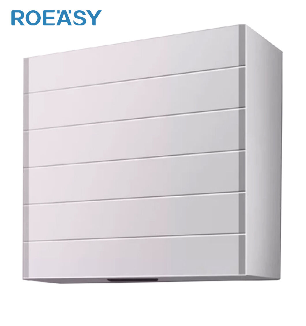 Roeasy Wall Kitchen Storage Cabinet Smart Automatic Roller Shutter ... - Automatic Kitchen Fold Down Cabinet Solutions For Modern Kitchens